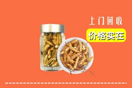 桂林平乐县回收散虫草