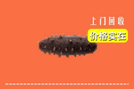 桂林平乐县回收海参