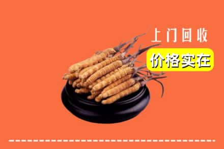 桂林平乐县回收冬虫夏草