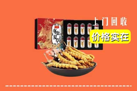 桂林平乐县回收虫草